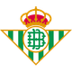 Escudo/Bandera Real Betis Baloncesto