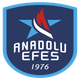 Escudo/Bandera Anadolu Efes