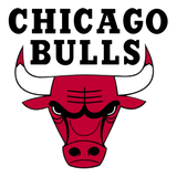 Escudo/Bandera Chicago Bulls