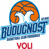 Escudo/Bandera Buducnost Voli