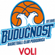 Escudo/Bandera Buducnost Voli