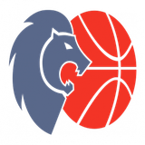 Escudo/Bandera Río Breogán