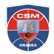 Escudo/Bandera CSM Oradea