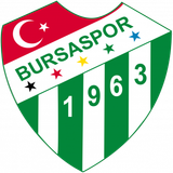 Escudo/Bandera Frutti Extra Bursaspor