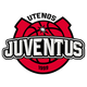 Escudo/Bandera Juventus Utena