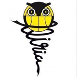 Escudo/Bandera Nadunet Refitel Basquet Lliria