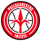 Escudo/Bandera Pallacanestro Trieste