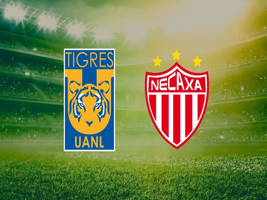 Tigres vs Necaxa: live info and stats | Liga MX Apertura 2026
