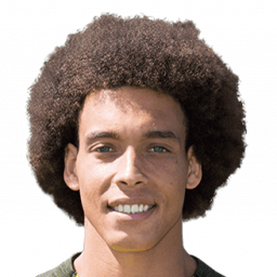 Foto de Witsel