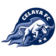 Escudo/Bandera Celaya