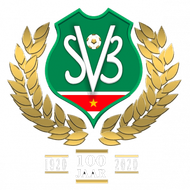 Escudo/Bandera Suriname