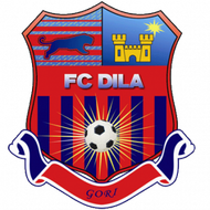 Dila Gori