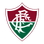 Fluminense
