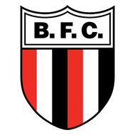 Escudo/Bandera Botafogo FC (Ribeirão Preto)