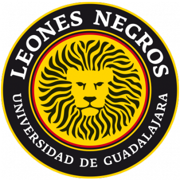 Escudo/Bandera Leones