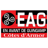 Escudo/Bandera Guingamp