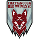 Escudo/Bandera Chattanooga Red Wolves