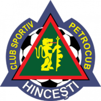 Escudo/Bandera Petrocub-Hincesti