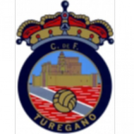 Escudo/Bandera Turégano