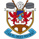 Escudo/Bandera Penybont