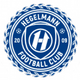 Escudo/Bandera Hegelmann Litauen