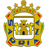Escudo/Bandera Sarriana