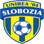 Shield Slobozia