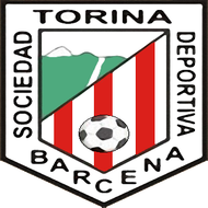 Escudo/Bandera Torina