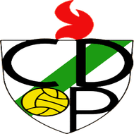 Escudo/Bandera Pamplona