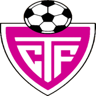 Escudo/Bandera Torrellano