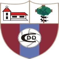 Escudo/Bandera Derio