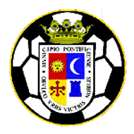 Escudo/Bandera Porcuna