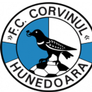 Badge/Flag Hunedoara