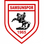 Escudo Samsunspor