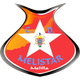 Escudo/Bandera Melistar