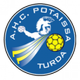 Escudo/Bandera HC Potaissa Turda